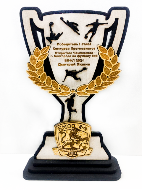 Кубок Открытого Чемпионата по футболу 24см.